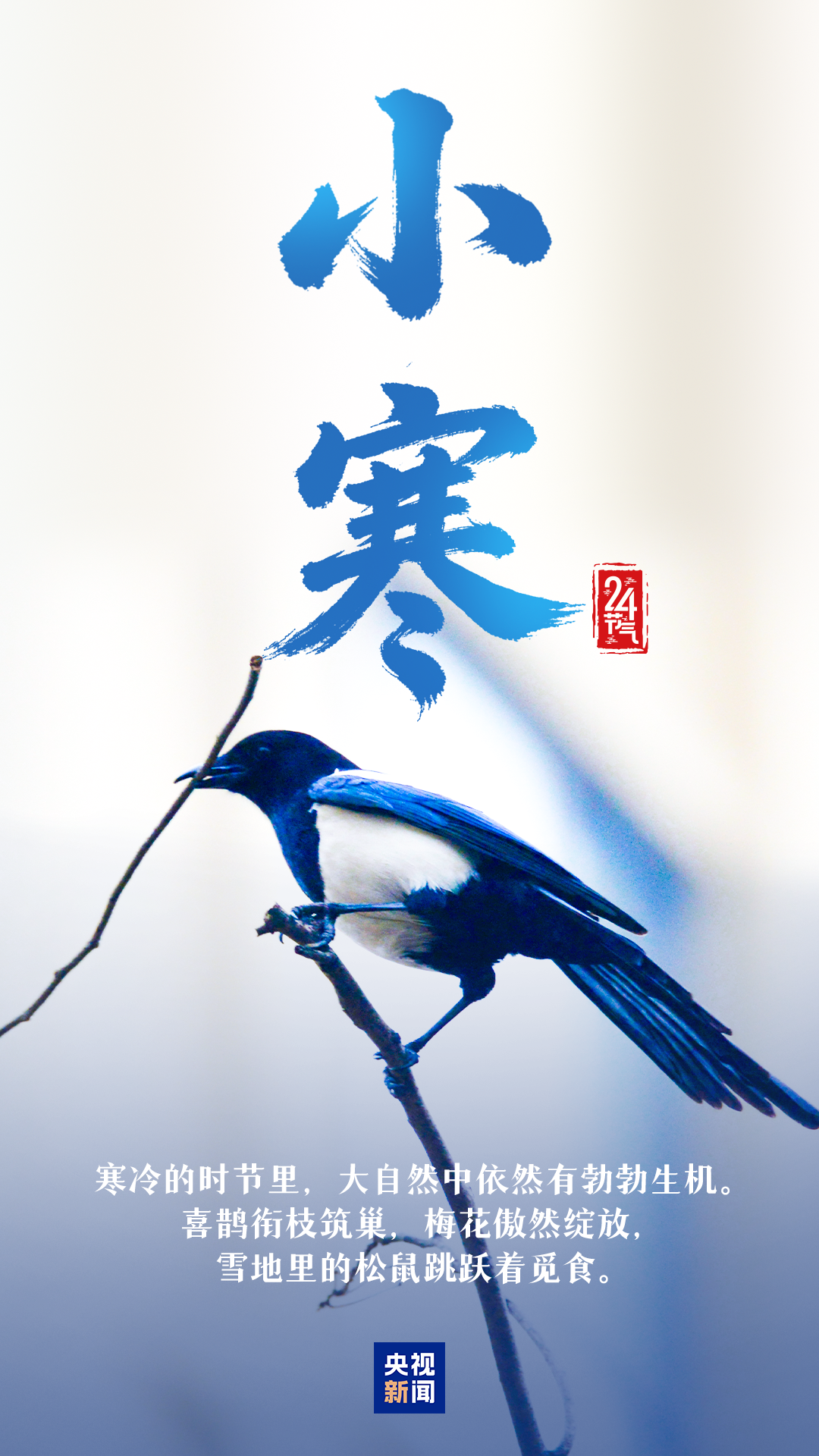 80843de3cbf18de2b49d5528d3be42c6.png