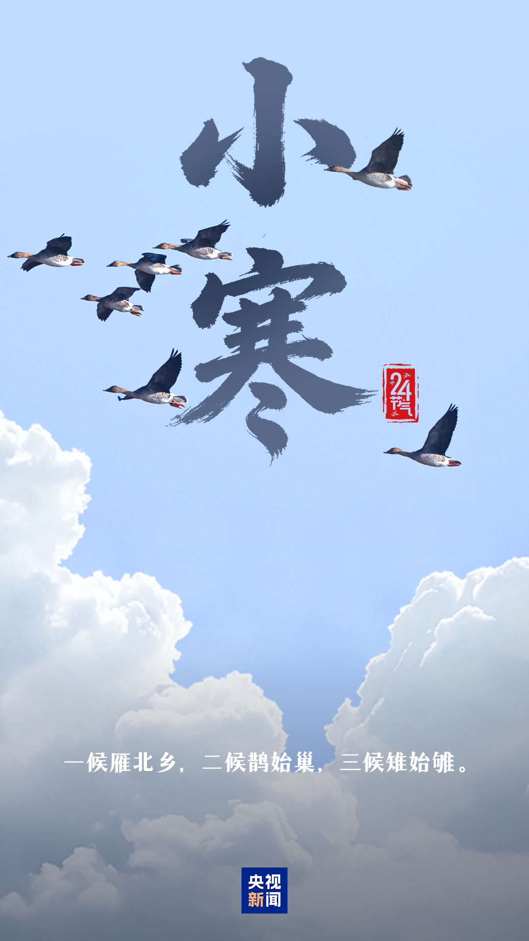 ada242949baeb54e2f3088560849195a.png